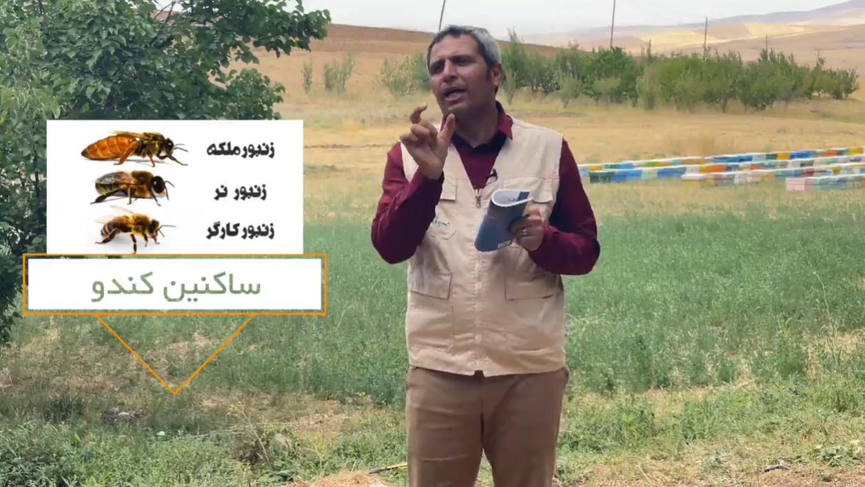 فیلم‌های آموزشی برکت برای کارآفرینان مناطق محروم/ آموزش صفر تا صد یک شغل به متقاضیان اشتغال