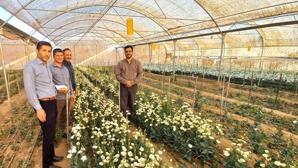 ورود جدی بنیاد برکت به حوزه دانش‌بنیان در اصفهان