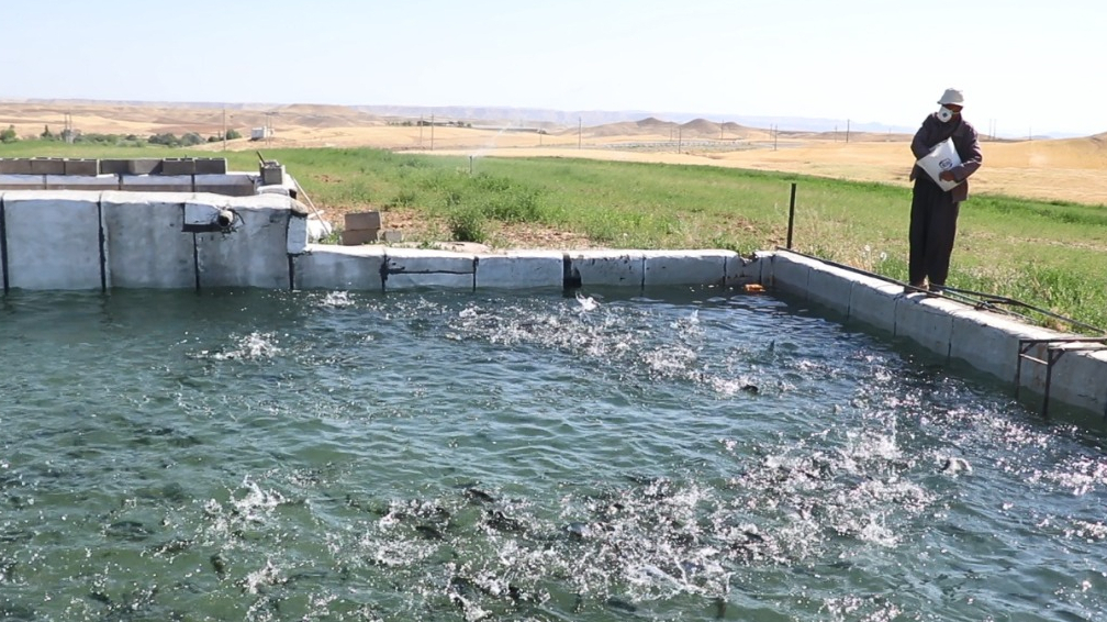 Barakat to create 3K jobs in aquaculture