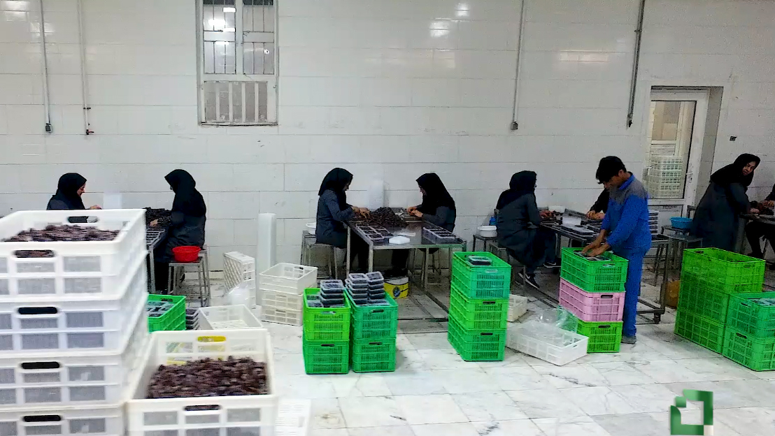 طرح توانمندسازی اقتصادی و اشتغال‌زایی بنیاد برکت: شرکت ستایش مهر بیرمی